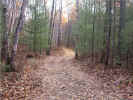 trail tour 007-2.jpg (377387 bytes)